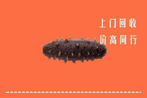 高价求购：城东区回收海参