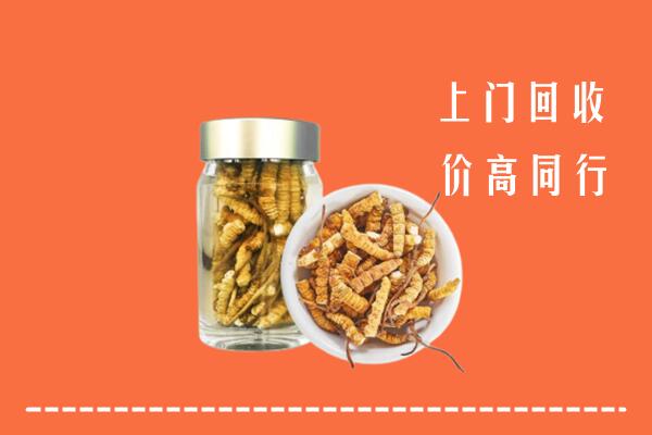 城东区回收冬虫夏草