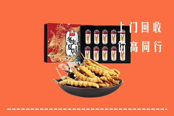 城东区回收虫草